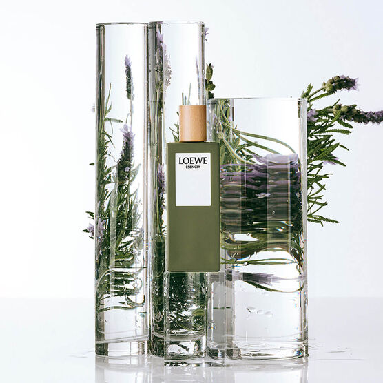LOEWE ESEN CIA EDP 100ML EDP  100ML